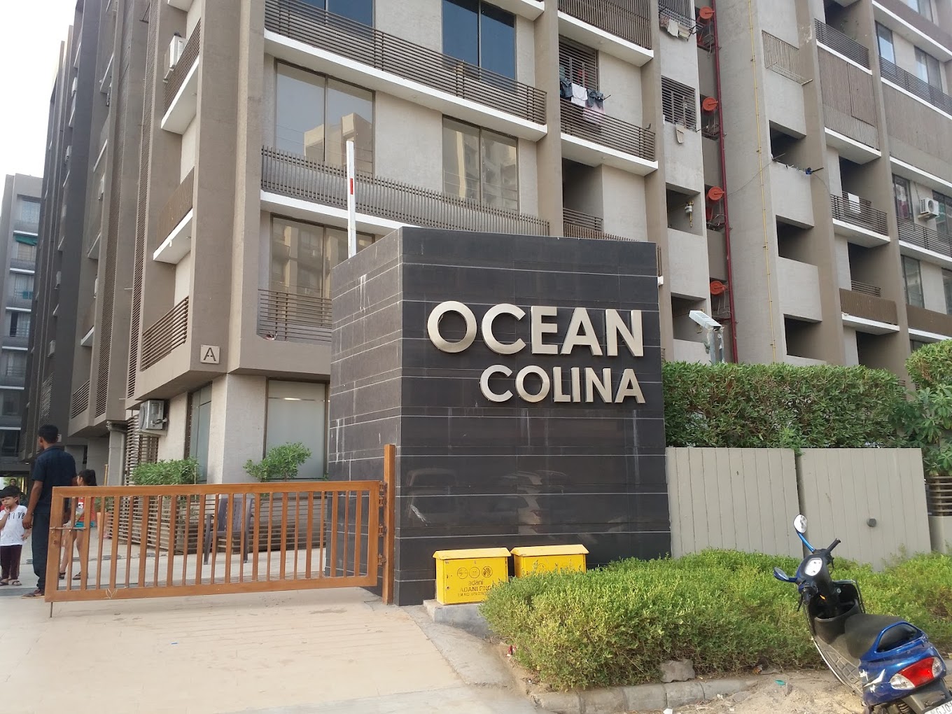 ocean collena